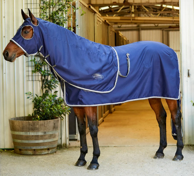 Weatherbeeta Show Rug 2025