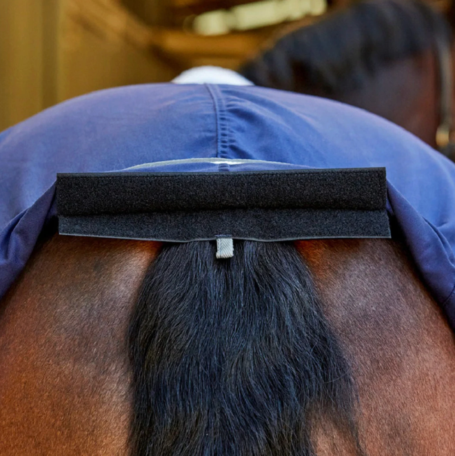 Weatherbeeta Show Rug 2025