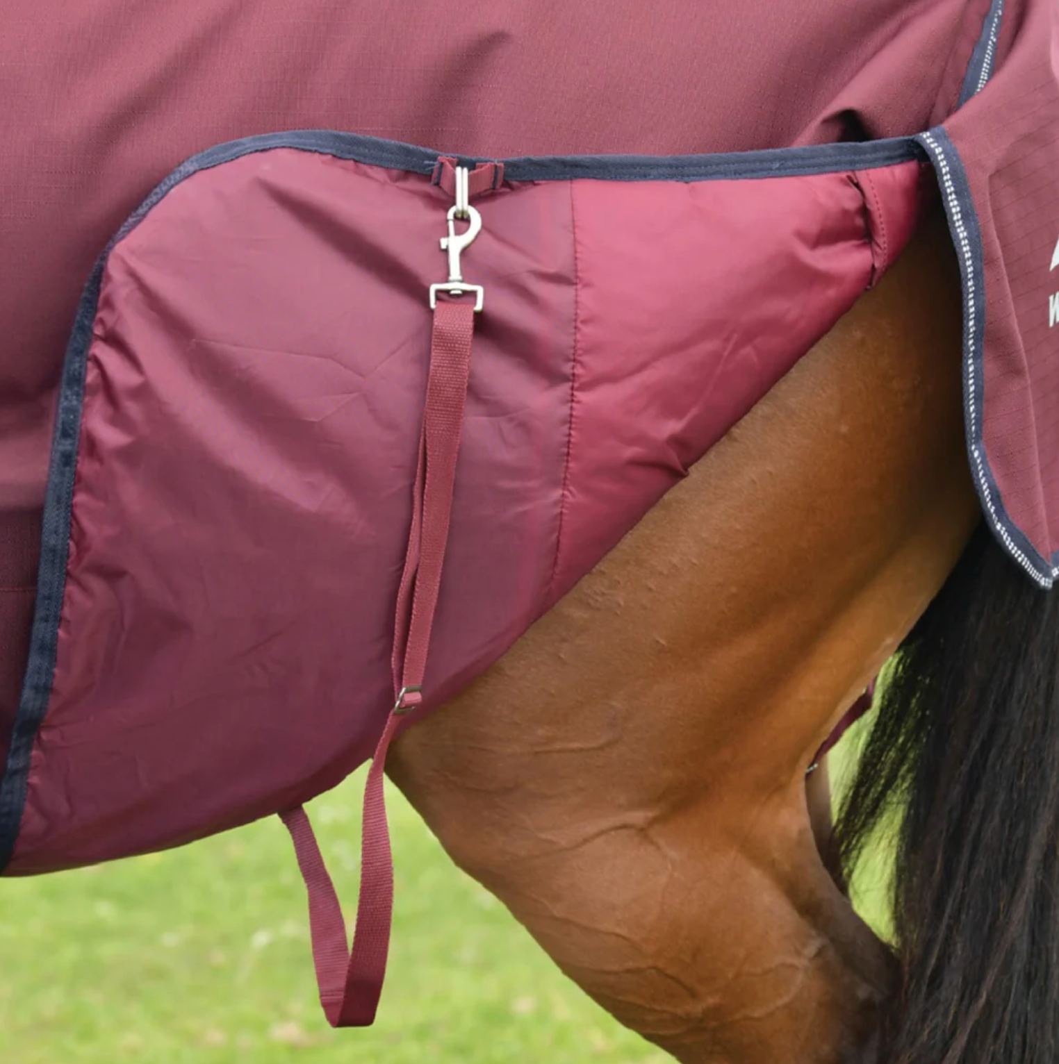 Weatherbeeta Comfitec Essential 50g Turnout Combo