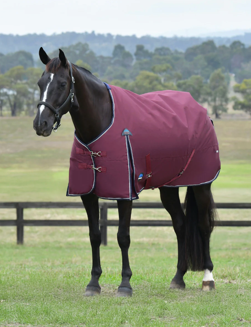 Weatherbeeta Comfitec Essential 50g Turnout Rug