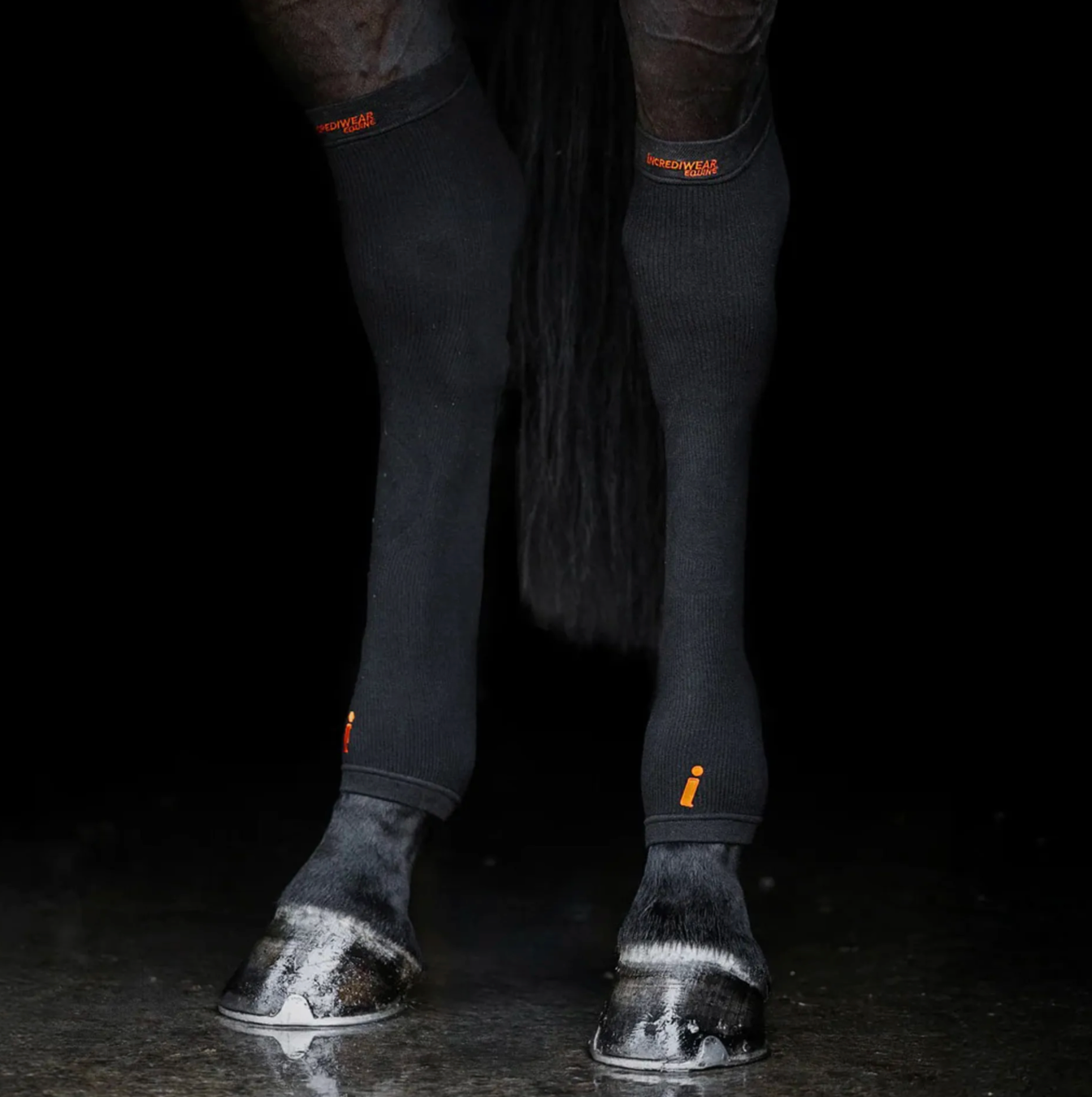 Incrediwear Equine Hock Socks