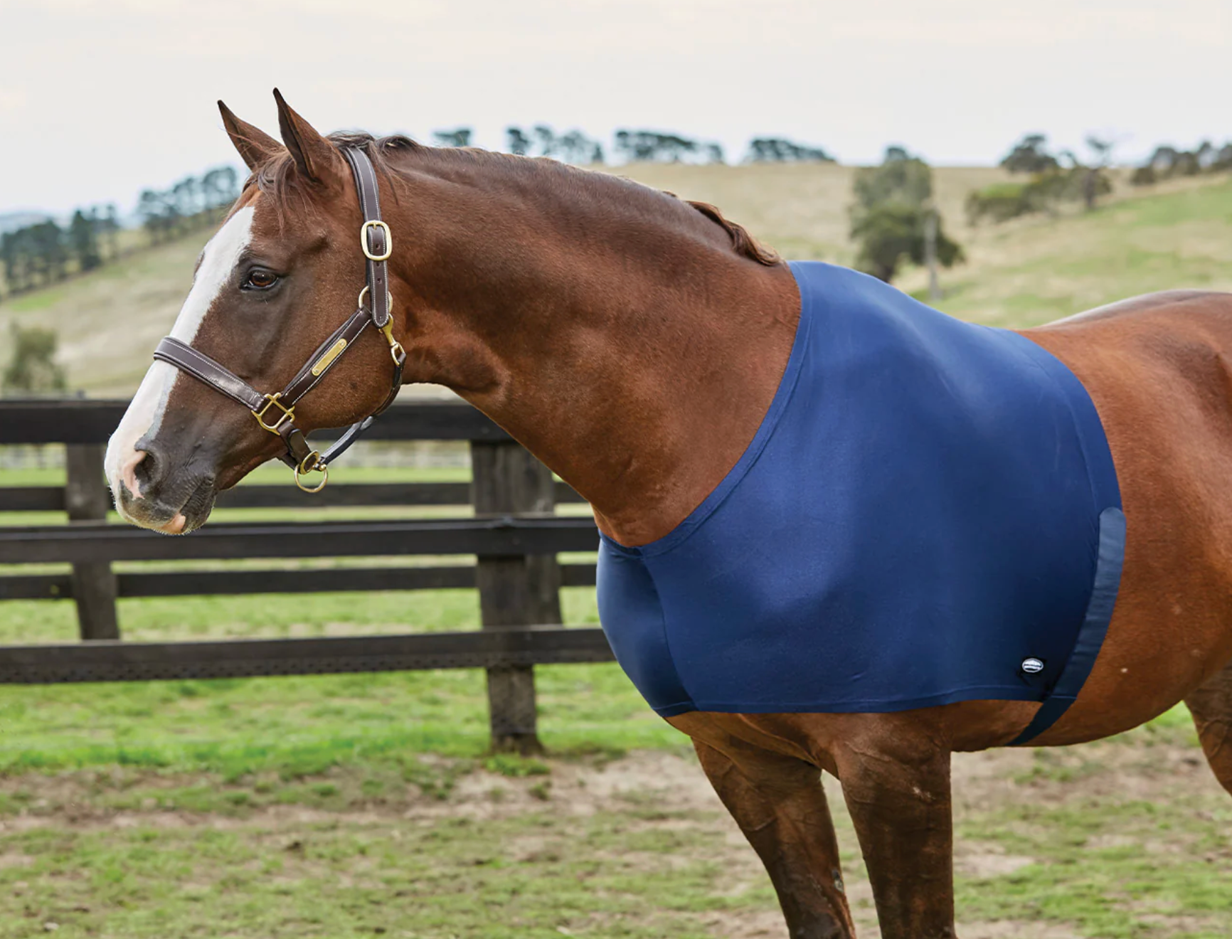 Weatherbeeta Stretch Shoulder Guard
