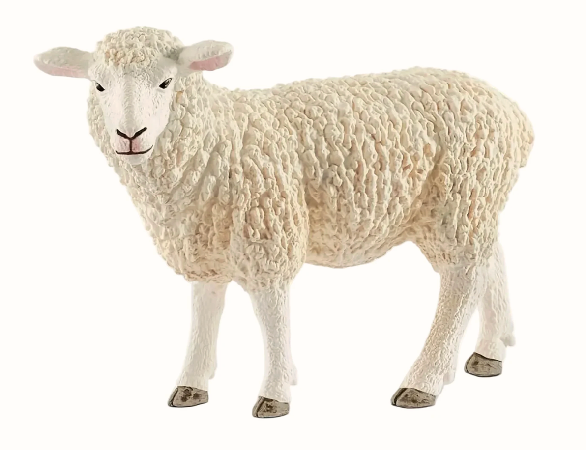 Schleich Sheep