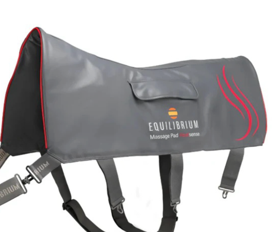 Equilibrium Heat Sense Massage Pad