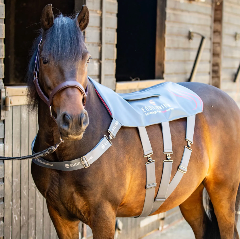 Equilibrium Heat Sense Massage Pad