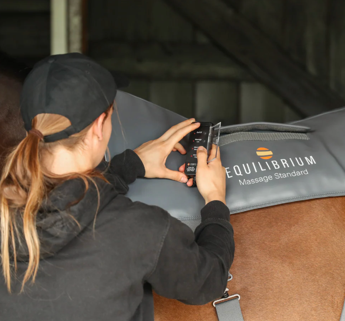 Equilibrium Massage Pad