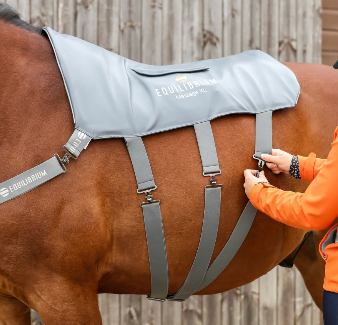 Equilibrium Massage Pad