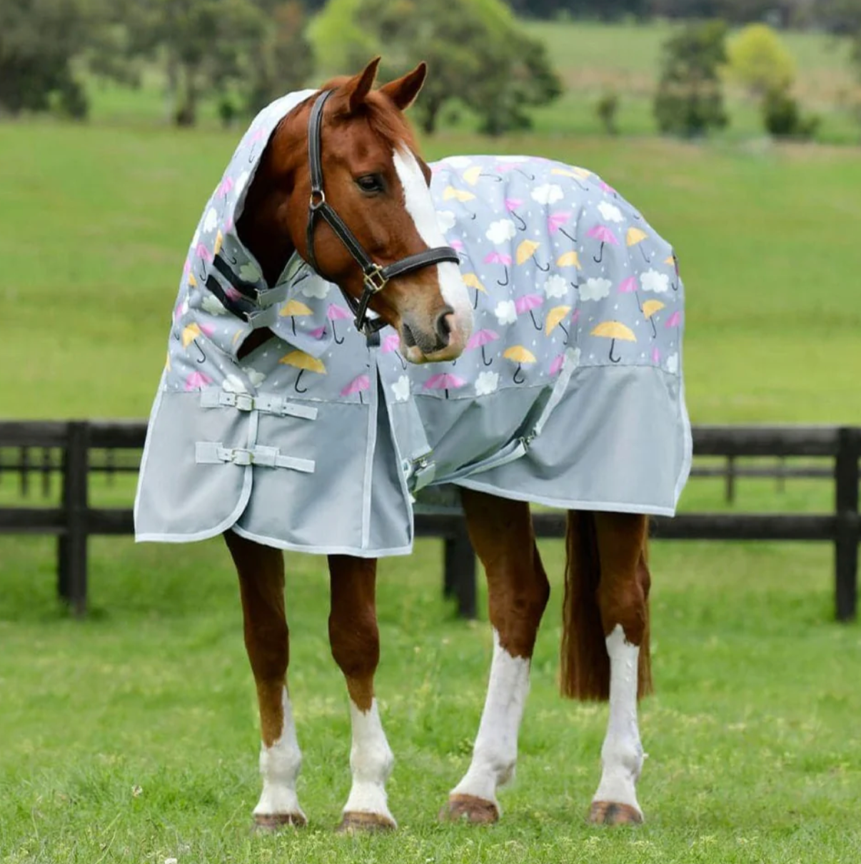 ComFiTec Essential Lite Combo - 4ft9 Umbrella Print