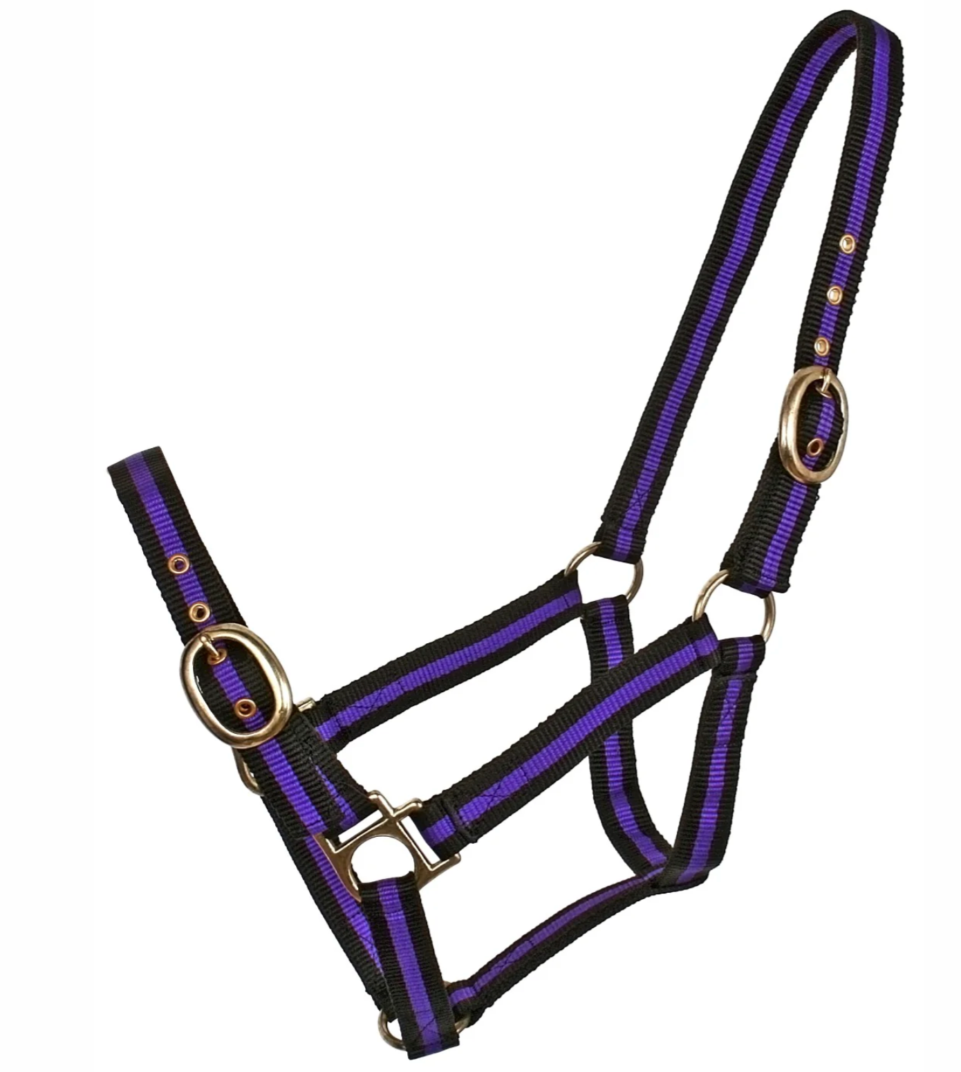 Blue Tag Striped Web Halter