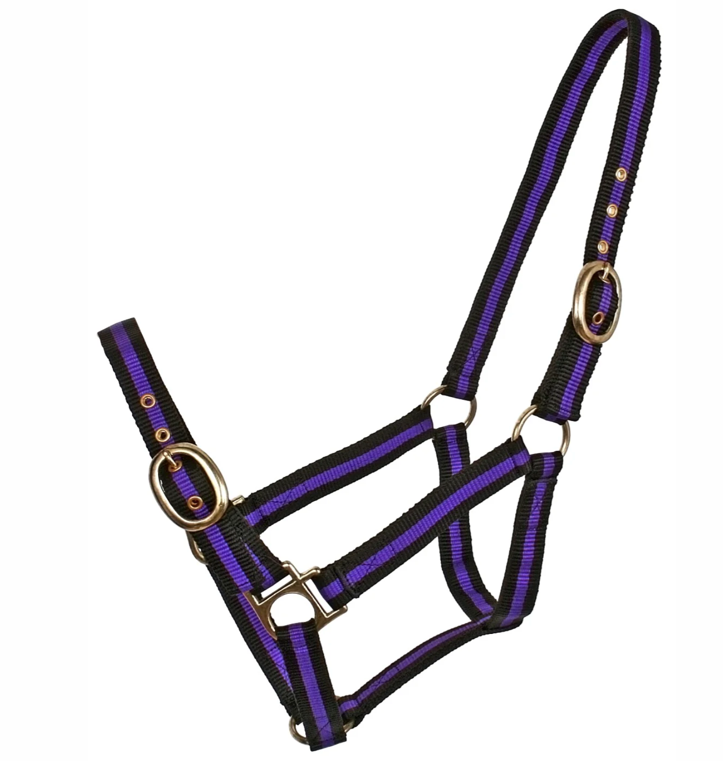 Blue Tag Striped Web Halter