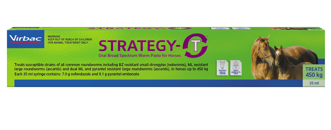 Strategy T Single Tube