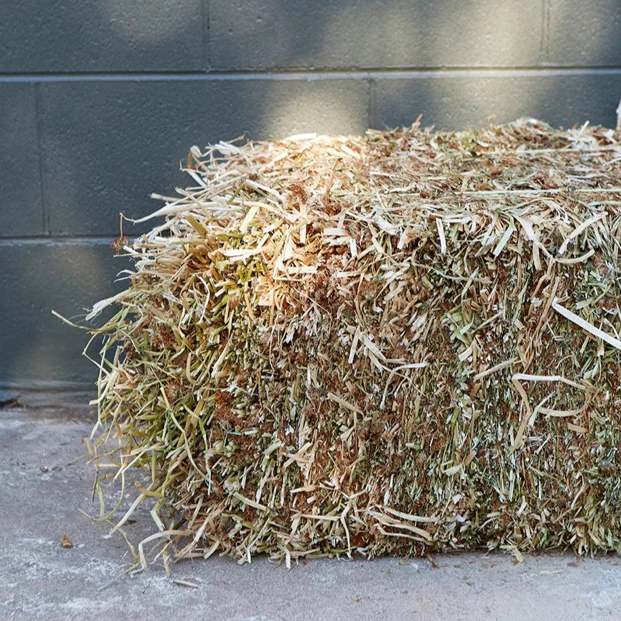 Hay Bale - Red Clover