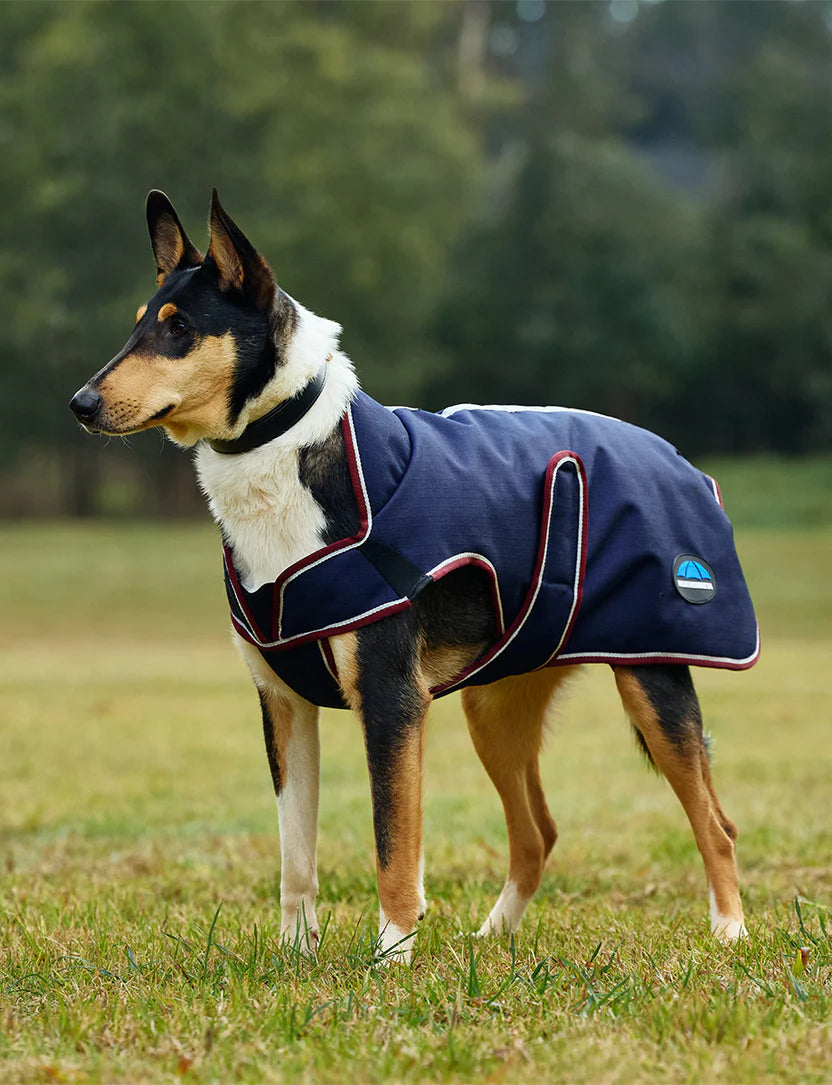 ComFiTec Premier Free Deluxe Parka Dog Coat