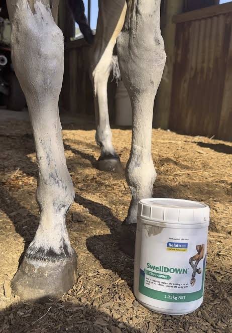 Swell Down Poultice