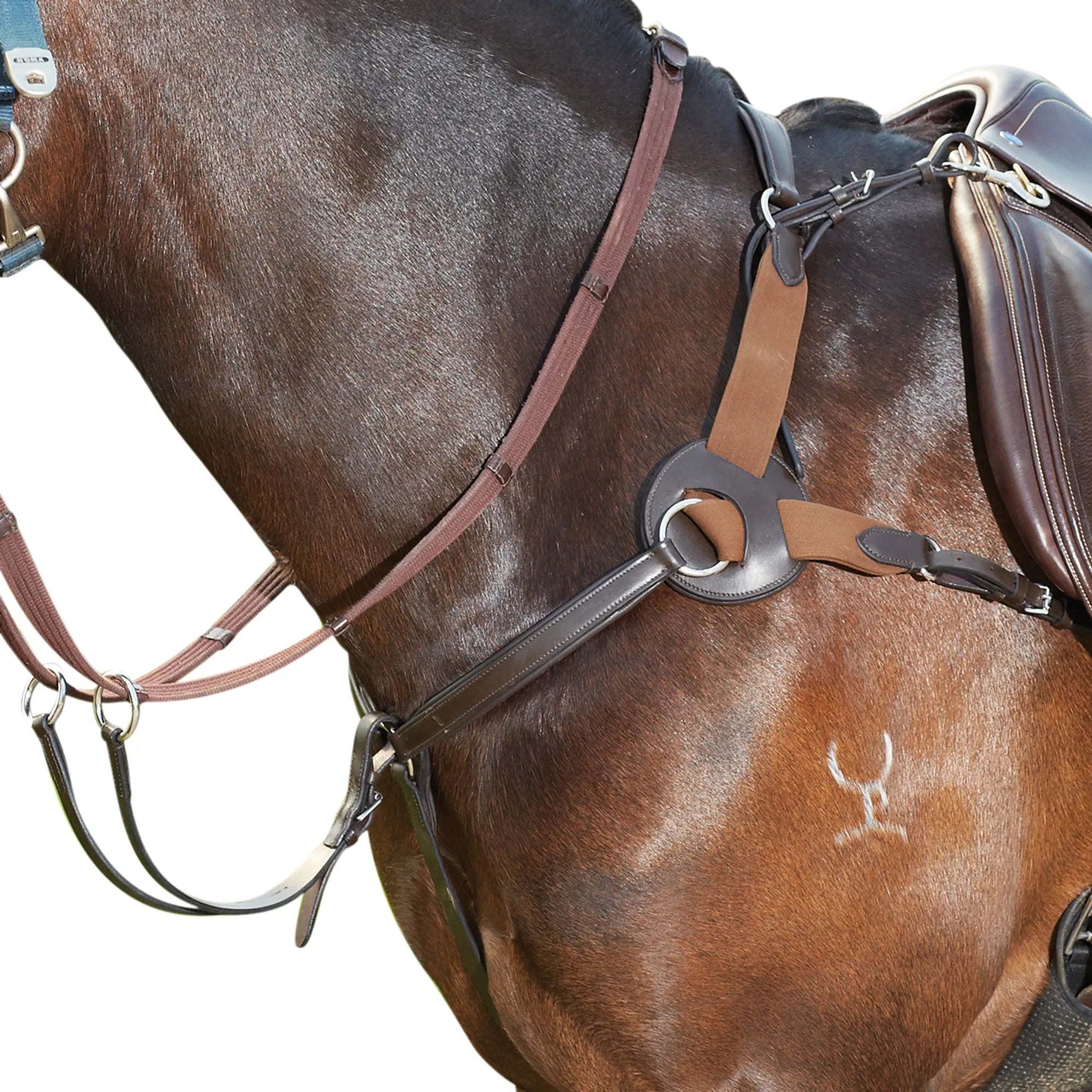 Kincade 5 Point Breastplate