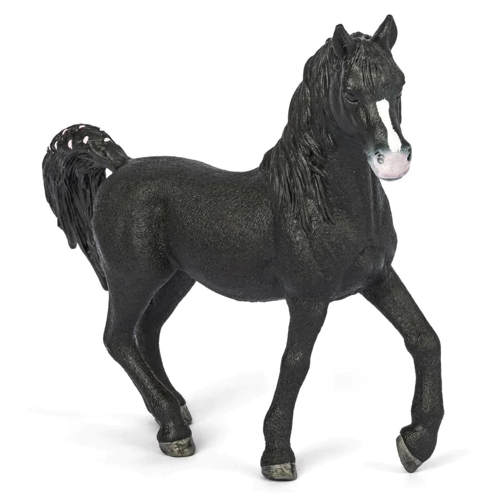 Schleich Black Arabian Stallion N