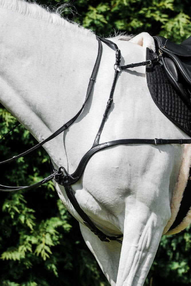 Cavallino Five Point Breastplate