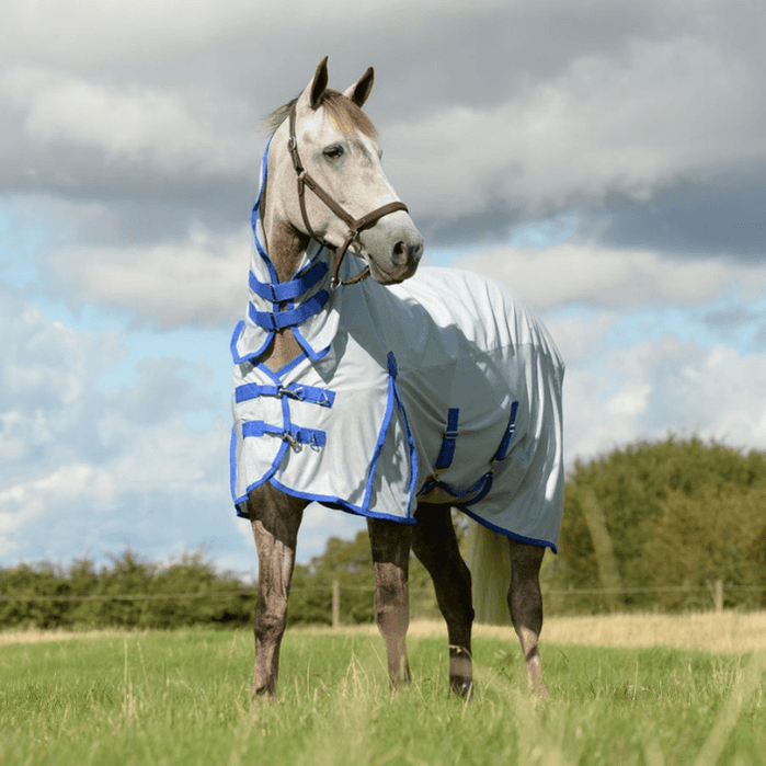 Weatherbeeta Rugs — Horselands