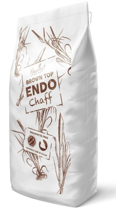 Brown Top - Endo Chaff