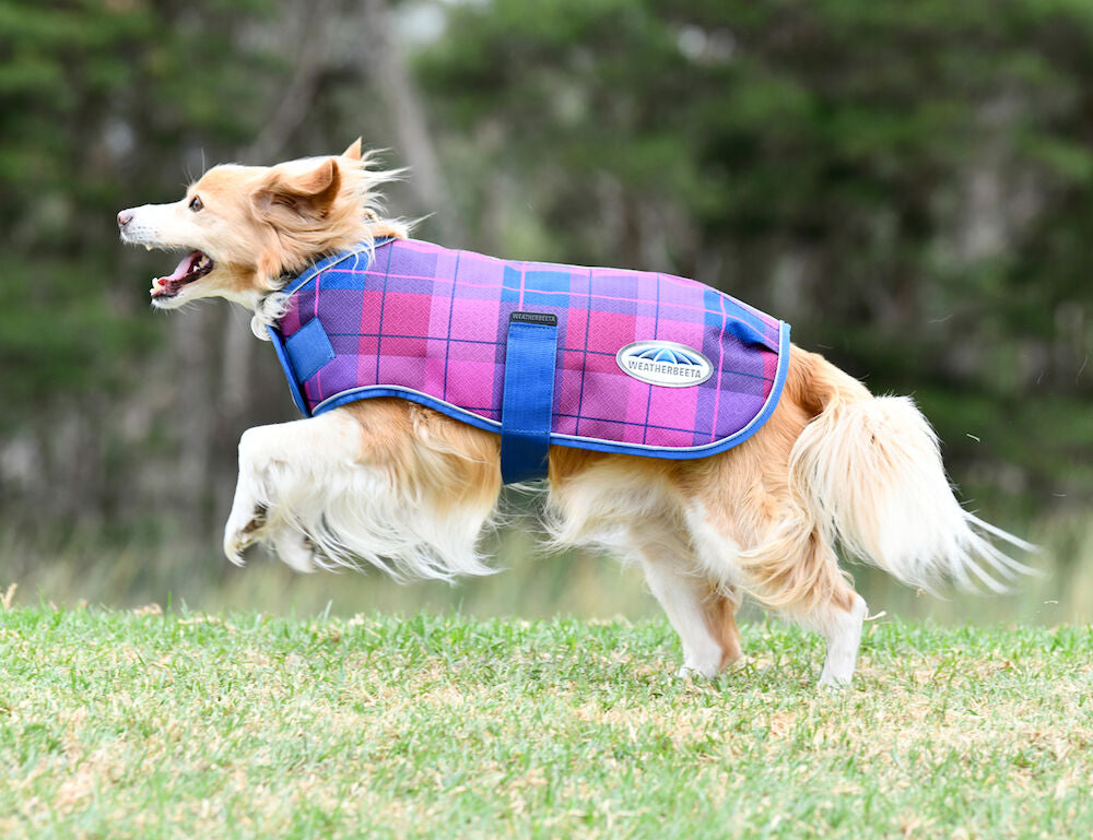 ComFiTec Premier Parka Dog Coat