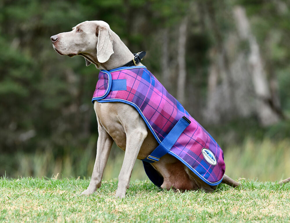 ComFiTec Premier Parka Dog Coat