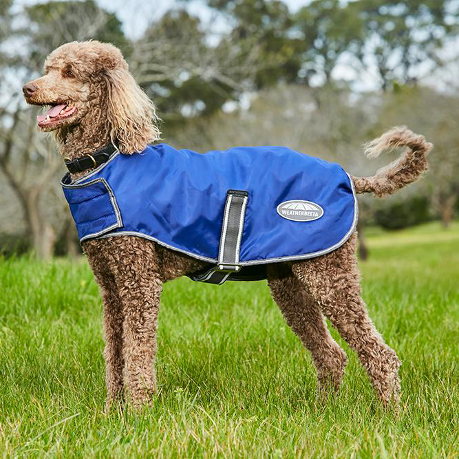 ComFiTec Windbreaker Dog Coat