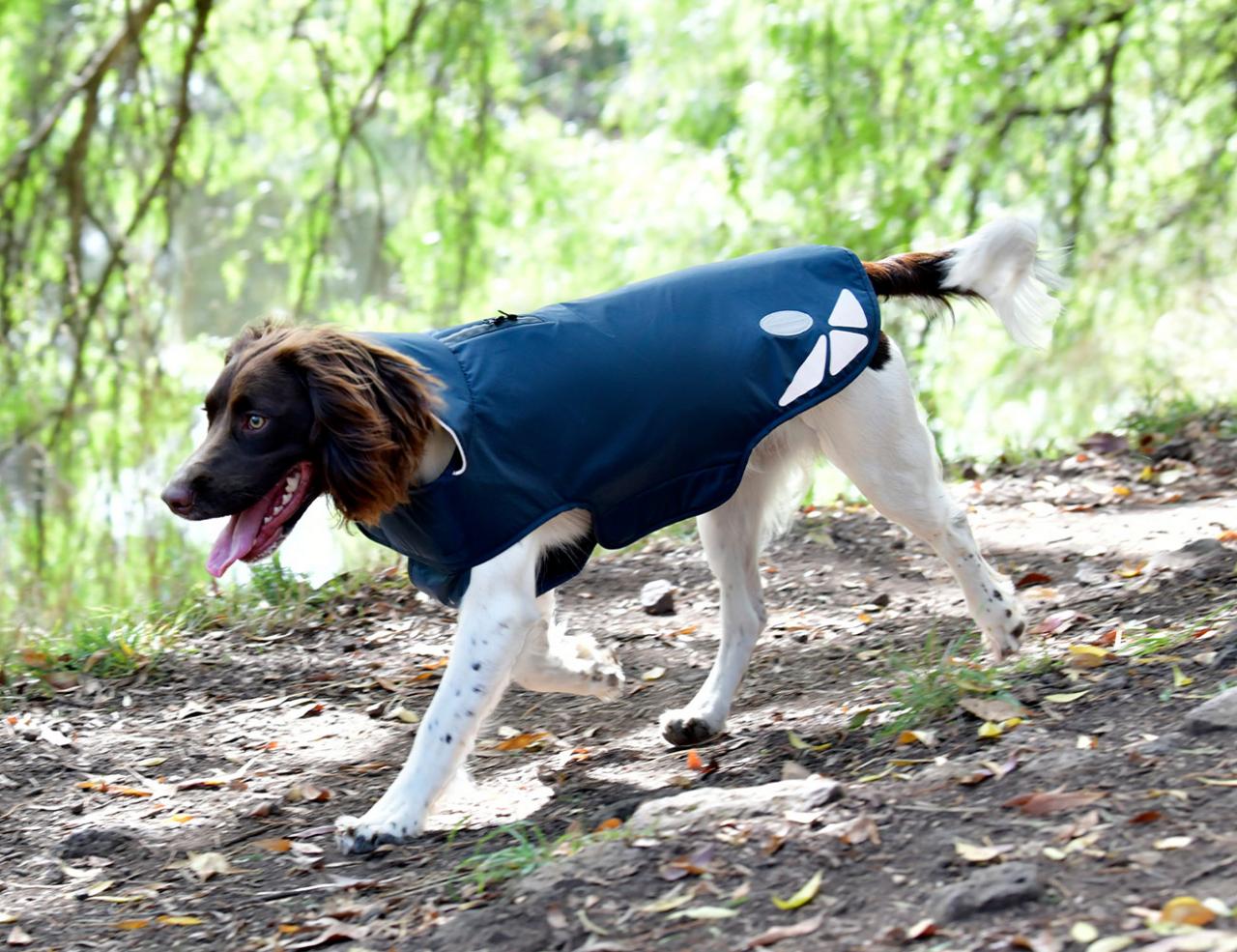 WB Explorer Lite Dog Coat