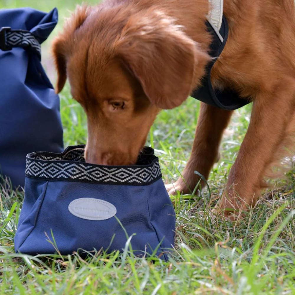 WB Explorer Dog Water & Feed Bowl