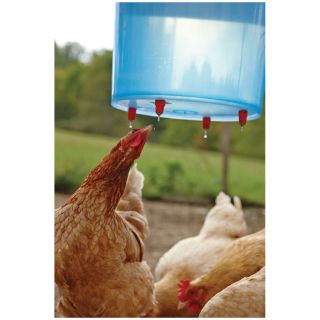 Water Poultry Nipples  - Set of 4