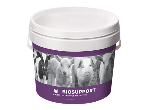 Biosupport Probiotic