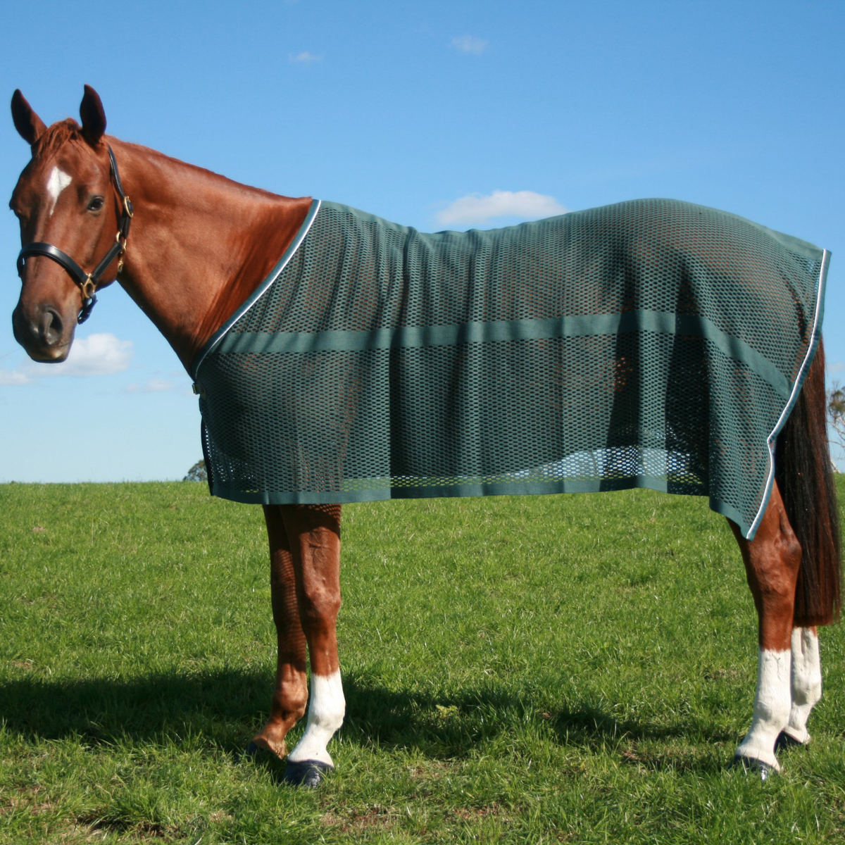Sweat Rugs Chevalier Anti Sweat Rug -4ft3 & 3ft — Horselands