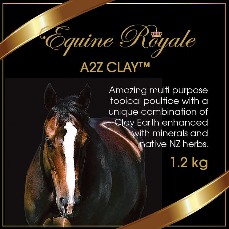 Equine Royale A2Z Clay Poultice