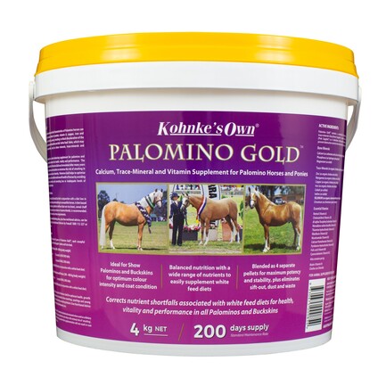 Kohnkes Own Palomino Gold