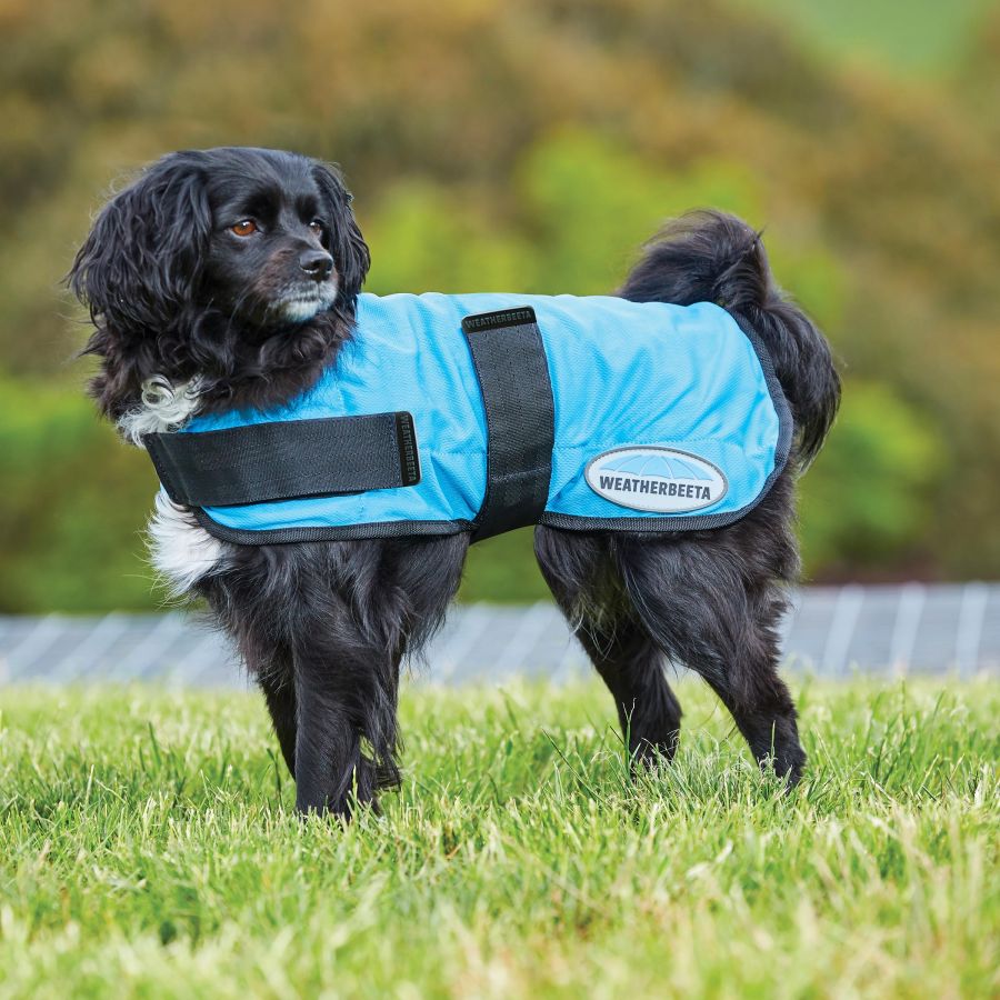Therapy Tec Cooling Dog Coat - 25cm
