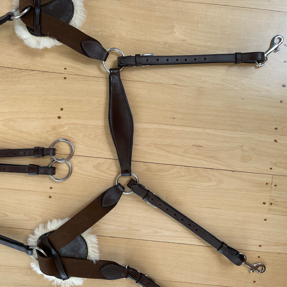 Chevalier 5 Point Breastplate Martingale