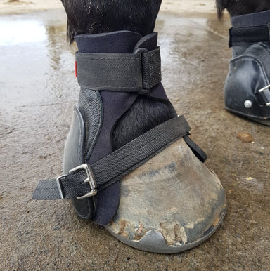 Trek/BFB Hoof Boot Buckle Strap - Horse Boots, Hoof Boots, Saddle Pads &  Equipment