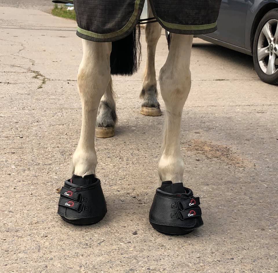Cavallo Simple Hoof Boots