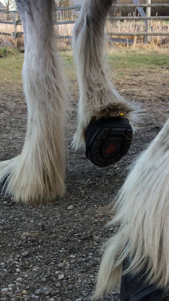 Cavallo BFB - Big Foot Hoof Boot