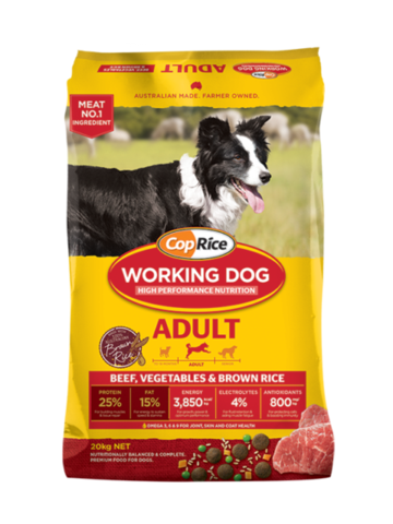 Coprice Adult Working Dog