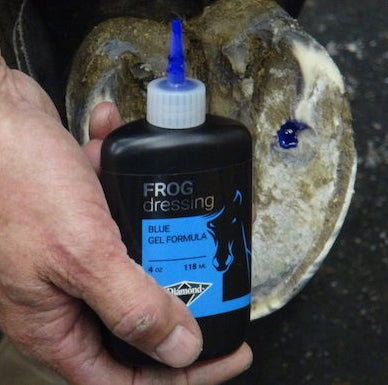 Diamond Frog Dressing Thrush Treatment — Horselands
