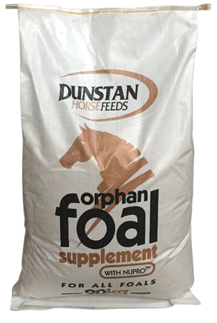 Dunstan Orphan Foal 20 kg