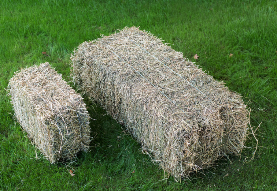 Compact Meadow Hay Bale - C&C Kumeu Only