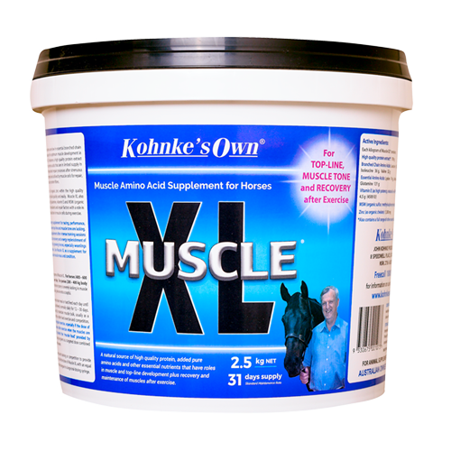 Kohnkes Own Muscle XL