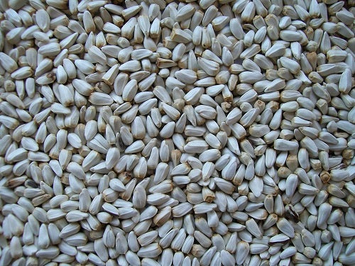 Topflite Safflower Seed 20 kg