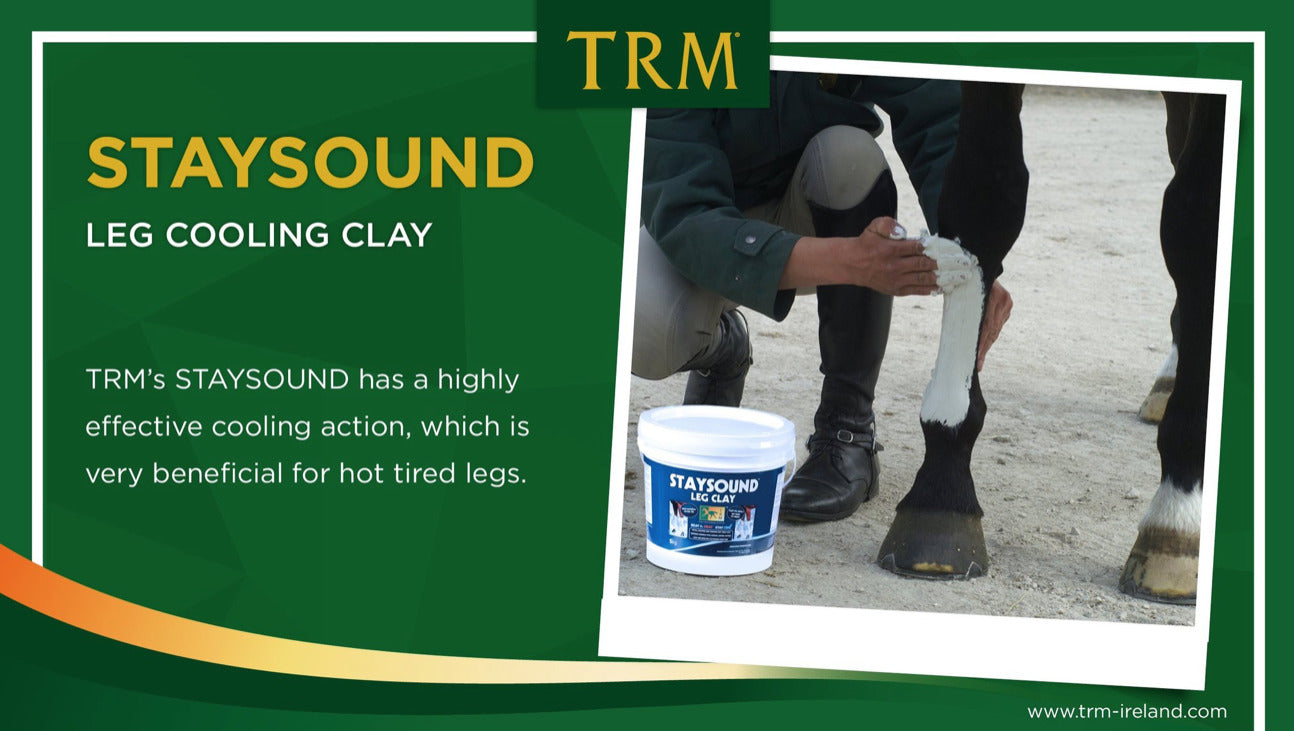 Stay Sound Cooling Poultice