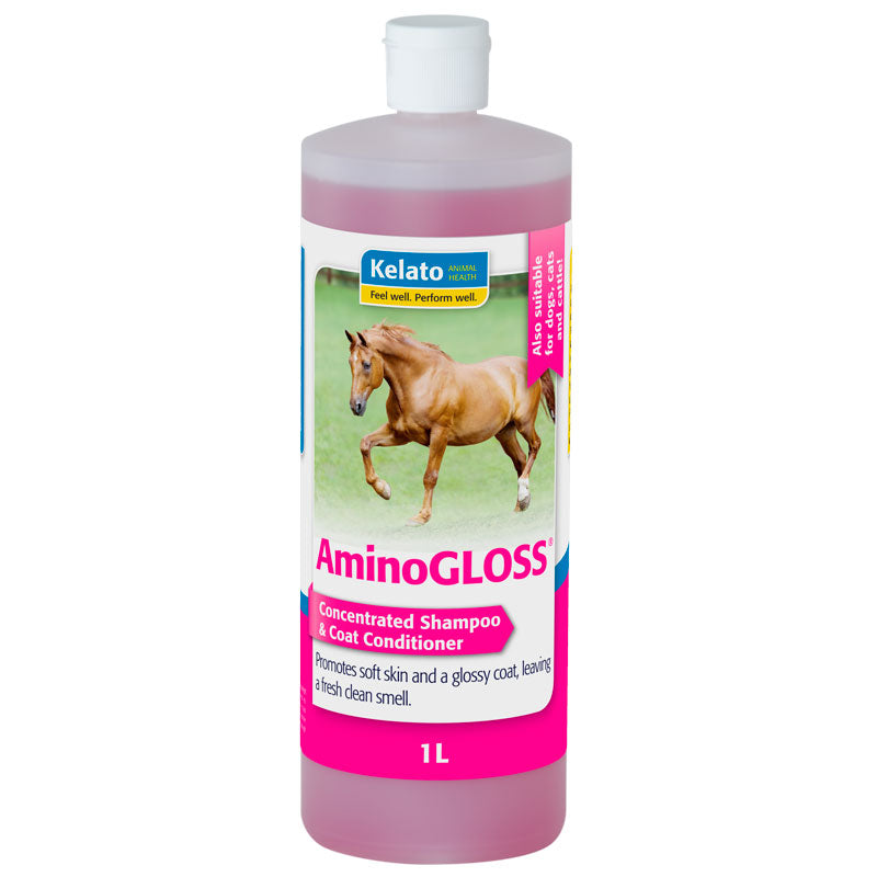 AminoGloss Shampoo
