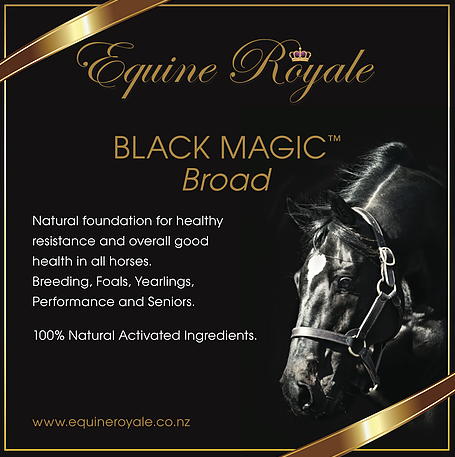Equine Royale Black Magic Broad