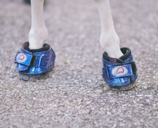 Cavallo Cute Little Hoof Boots - Metallic CLBs