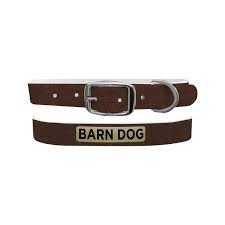 C4 Barn Dog Collar