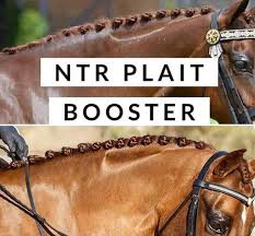 NTR Plait Booster